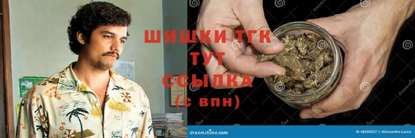 PSILOCYBIN Абаза