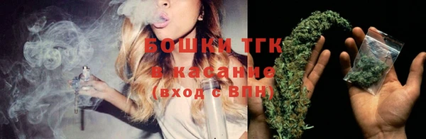 PSILOCYBIN Абаза