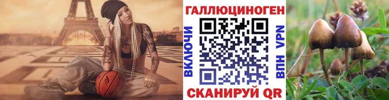 ОМГ ОМГ зеркало  Отрадное  Галлюциногенные грибы Psilocybine cubensis 